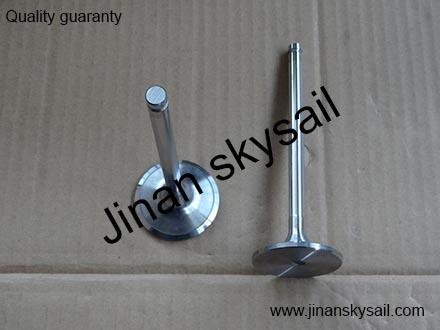 3924492 Cummins 6CT Intake valve  3924492