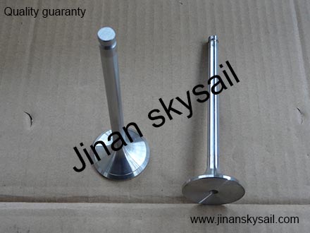 3921444 Cummins 6CT Exhaust valve  3921444