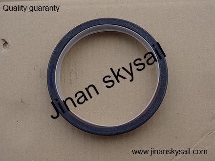 3968563  Cummins 6CT Rear oil seal  3968563