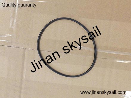 3940386 C3940386 Cummins 6CT Water Pump Seal 3940386 C3940386