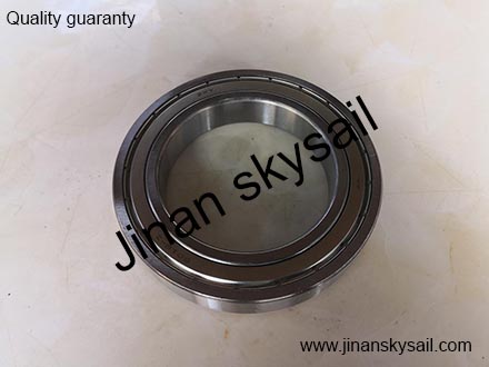 6019-Z 60119 Bearing Higer