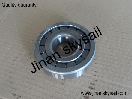 2402N-033 Bearing Higer