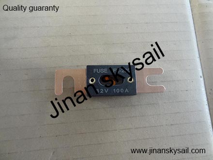 FL-20032V100A Fuse Higer