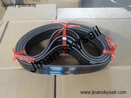 AV13X975Le Belt Higer