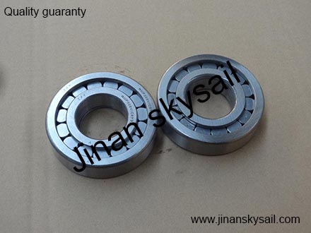 NUP309EVC3YB2 Bearing Higer